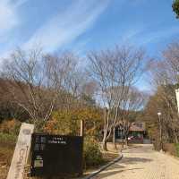 12월에도 단풍 볼 수 있는 울산대공원