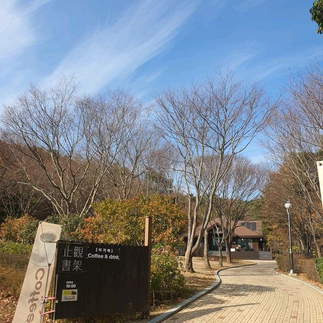 12월에도 단풍 볼 수 있는 울산대공원