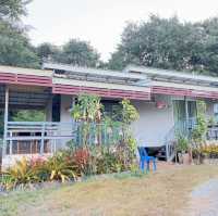 ภูผาฝ้ายรีสอร์ท