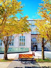 【京都】京都岡崎を巡る 京都府立図書館