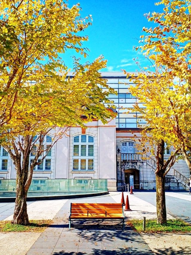 【京都】京都岡崎を巡る 京都府立図書館