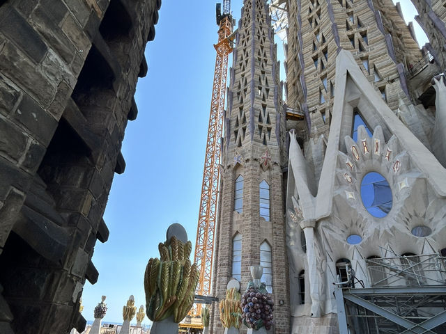 【Barcelona🇪🇸】想像以上の美しさに圧巻　サグラダファミリア