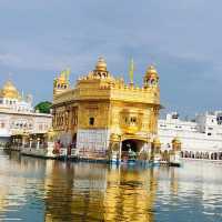 Serenity and Splendor: A Glimpse of the Golden Temple 🌟