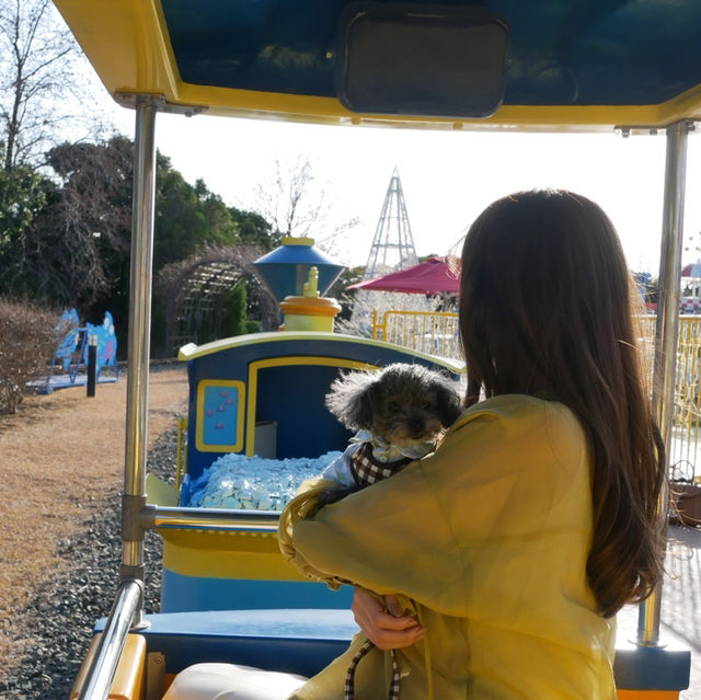 【愛知】ペットと乗り物に乗れるラグーナテンボス🐶