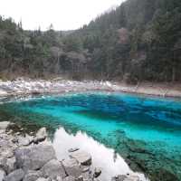 My Chengdu and Jiuzhaigou trip at the end of 2023