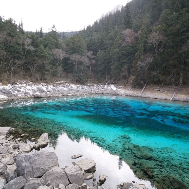 My Chengdu and Jiuzhaigou trip at the end of 2023