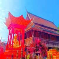 ประตูสู่ลำพูน  วัดประตูป่า