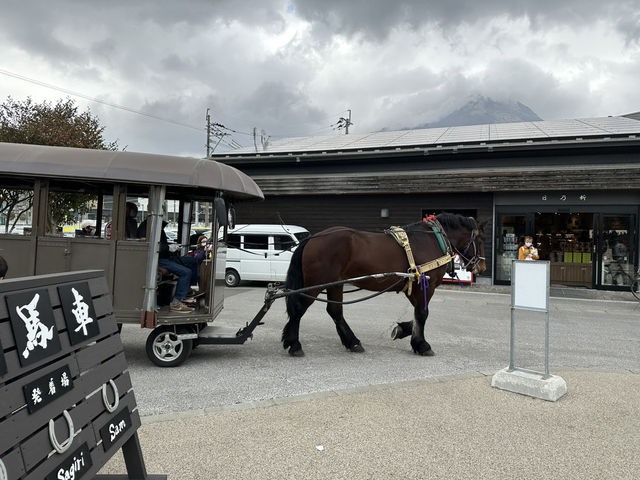 由布院是感受寧靜和傳統日本的首選🥹🌸