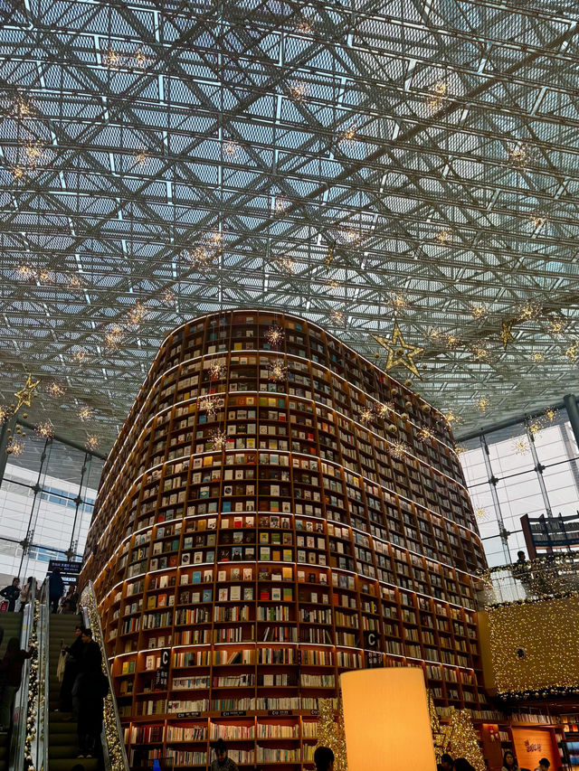 🇰🇷코엑스 놀거리 별마당 도서관 책과 트리📖✨📷