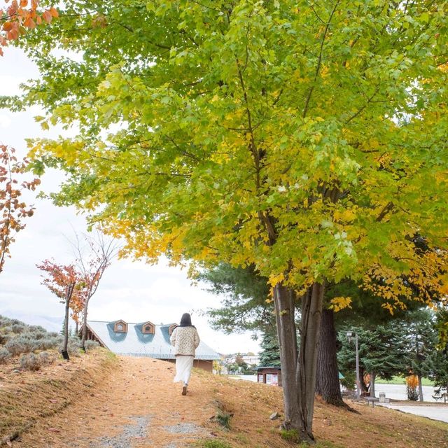 후라노의 숨겨진 보석 같은 공원