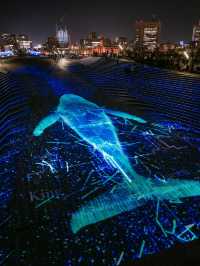 【家族連れにおすすめ！✨】ヨルノヨ2024のイルミネーションが美しすぎる！🐳