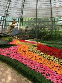 Ride the Fun Wave: Unforgettable Moments at Vinpearl Land