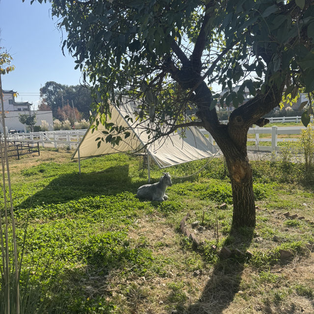 去有風的地方·喜洲古鎮