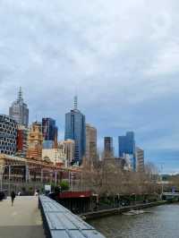 멜버른 아랴 강의 겨울시즌🇦🇺