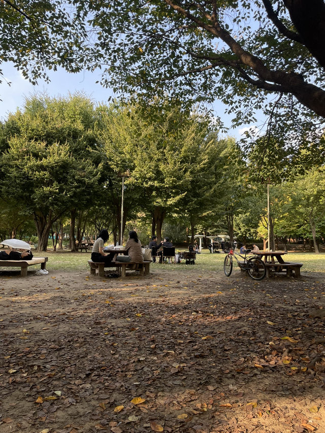 💚자연속 힐링 서울숲🌳