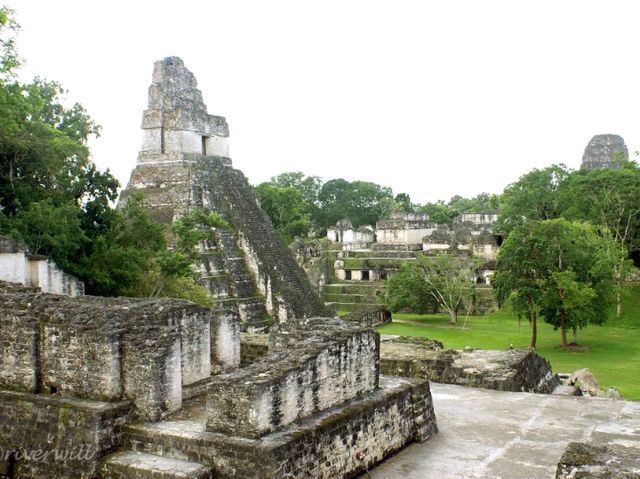 【グアテマラ】古代マヤ遺跡最大級の世界遺産「ティカル遺跡」