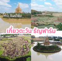เกี้ยวตะวัน ธัญฟาร์ม