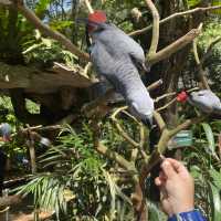 Lost word at Lost World of Tambun