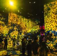 teamLab Borderless: