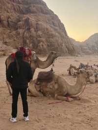 DESERT DREAMS | CAMEL RIDING ADVENTURES IN WADI RUM