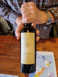뉴질랜드 와인너리 투어🍷- MUDBRICK🇳🇿