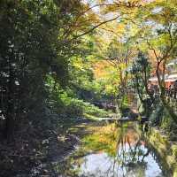 大阪周邊景點〔箕面公園〕