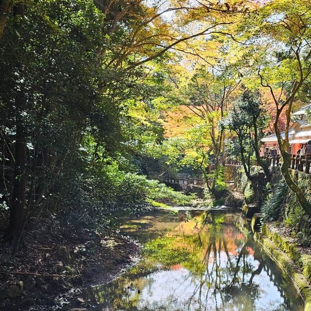 大阪周邊景點〔箕面公園〕