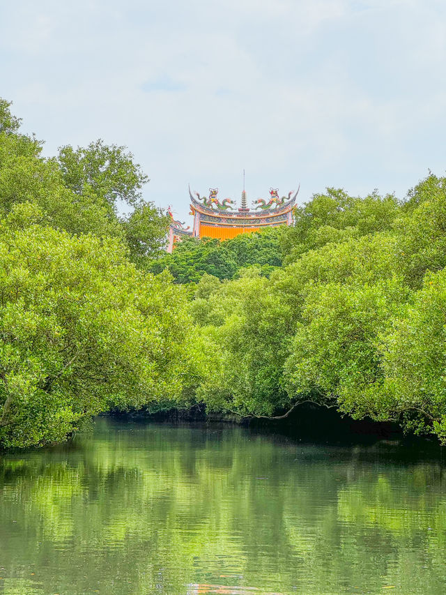【台南】🌿穴場の絶景！四草緑色隧道で自然を満喫しよう🌿 