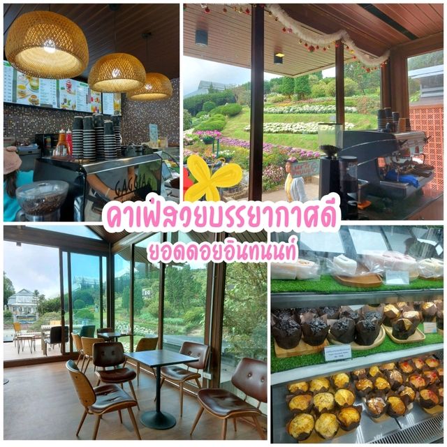 คาเฟ่วิวสวย บรรยากาศดี @ ดอยอินทนนท์ 