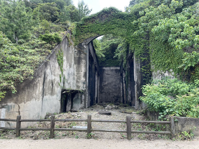無比療癒的兔子島-大久野島