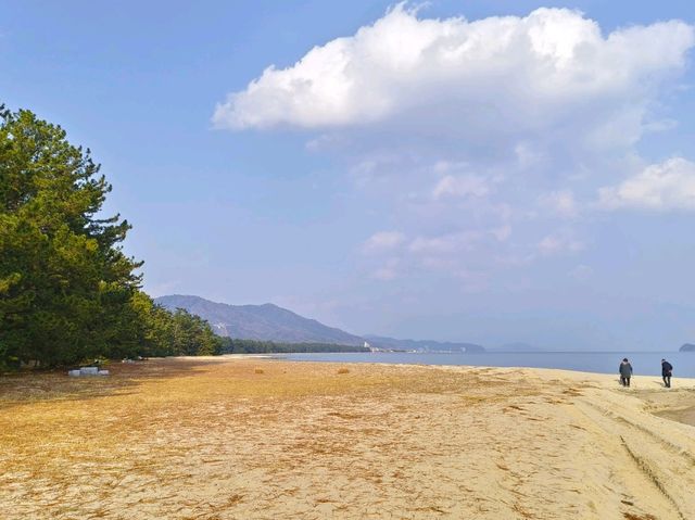 日本三景-天橋立