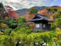 ☾︎京都☽︎ 洗練された静かで美しい日本庭園
