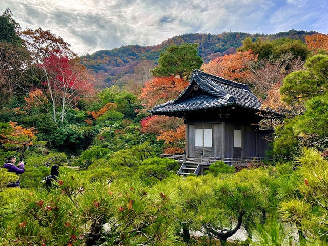 ☾︎京都☽︎ 洗練された静かで美しい日本庭園