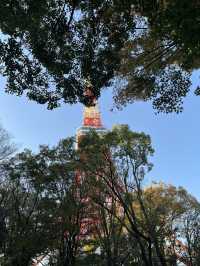 🇯🇵 東京鐵塔這樣玩🗼！