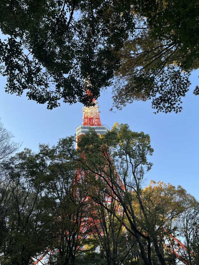 🇯🇵 東京鐵塔這樣玩🗼！