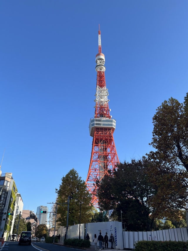 🇯🇵 東京鐵塔這樣玩🗼！