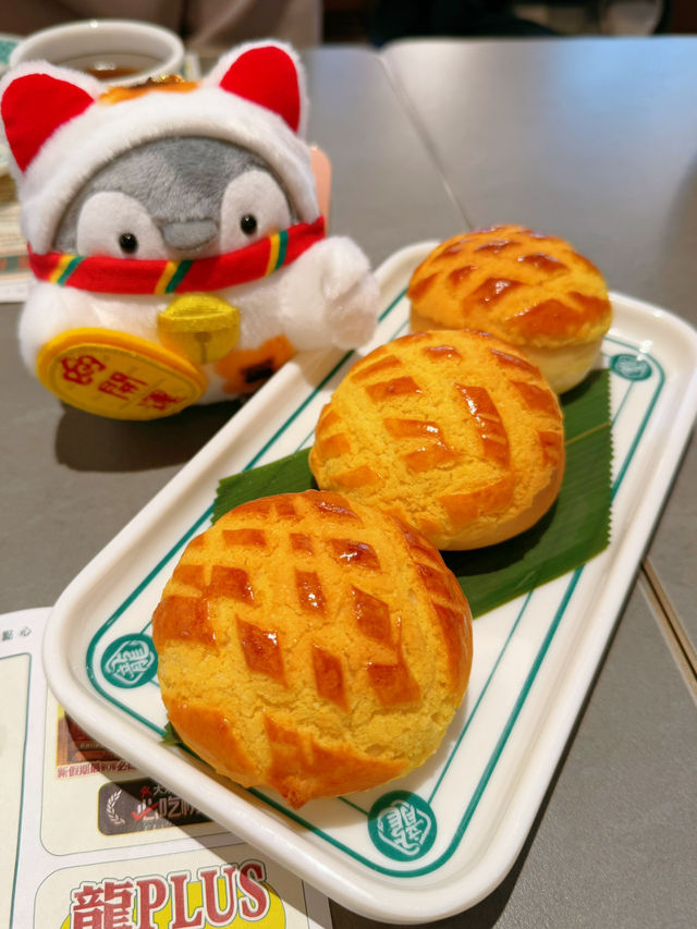 菠蘿包正🥰