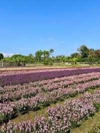 I Love Flower Farm