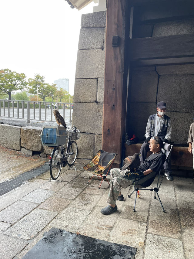 🇯🇵 Osaka Amazing Pass: How To Use In A Day