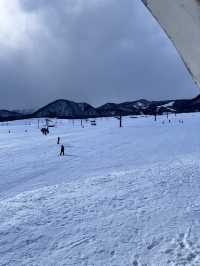 白馬滑雪🏂新體驗