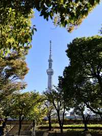 東京市區一日遊 - 晴空塔、淺草寺