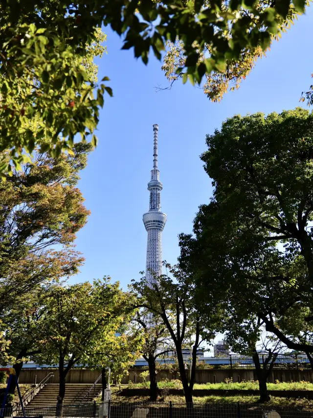 도쿄 시내 하루 여행 - 스카이트리, 센소지