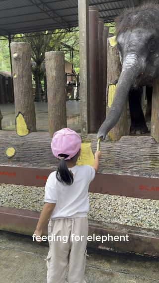 Visited elephant conservative at Kuala Gandah