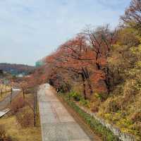 北ソウル夢の森 