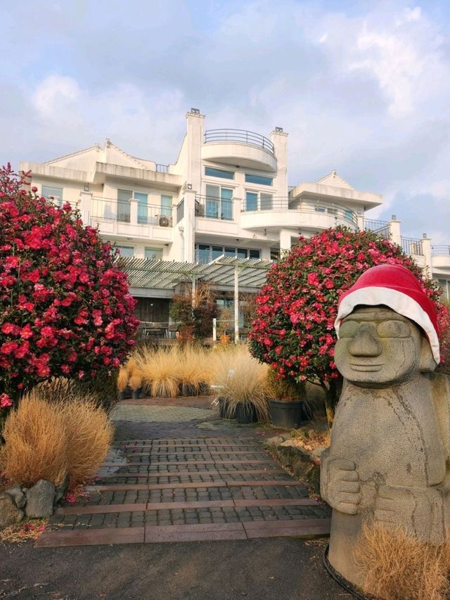 ✨️제주도 동백꽃 명소 🎈제주 마노르블랑 