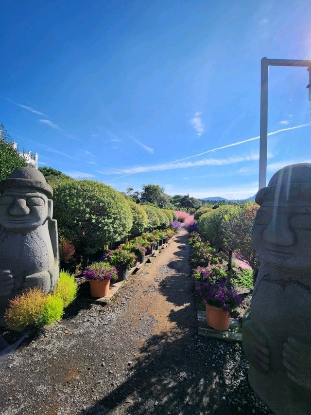 🍊제주도 동백꽃 명소 제주 마노르블랑