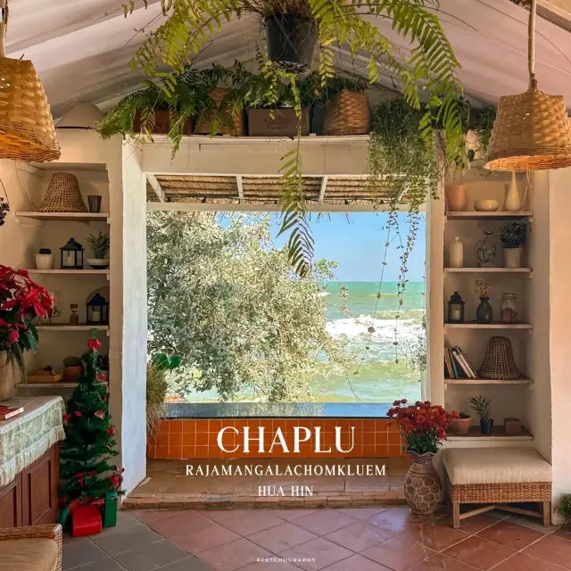 Chaplu Cafe & Restaurant 🩵