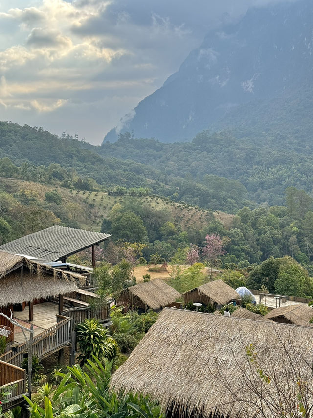 ที่พักดอยหลวงเชียงดาว | เชียงใหม่ 🏡⛰️🌤️💤