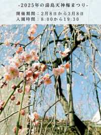 【梅が咲いたら春の予感】湯島天神 梅まつりの楽しみ方