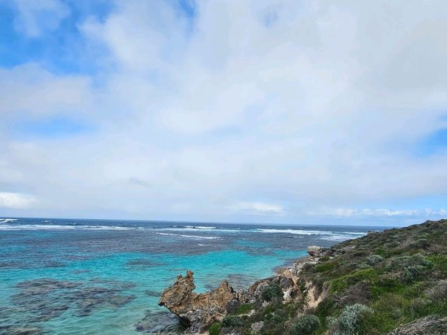 Amazing beaches and cute quokkas!!!